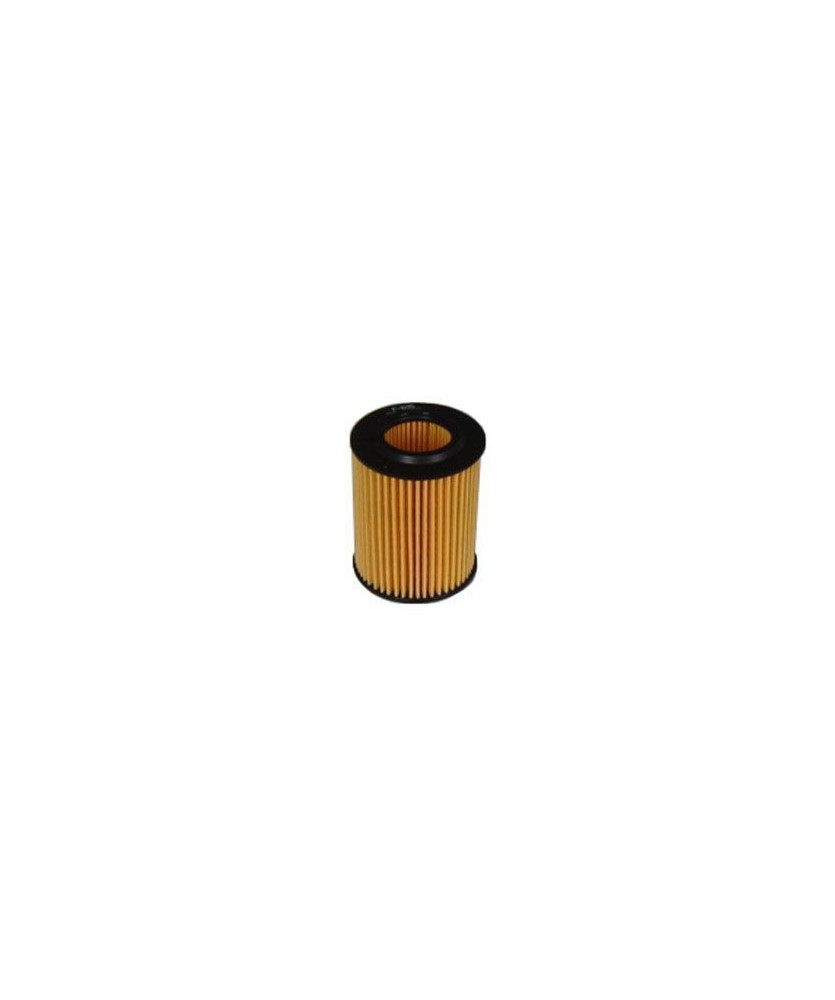 FILTRO OLIO SERIE 1 (F2 F21) SERIE 3 (F30 F31)