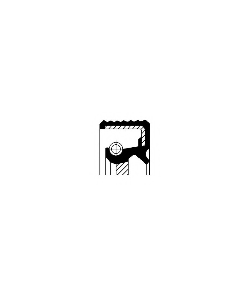 PARAOLIO TORSIONE DX 36X54X10X13 5