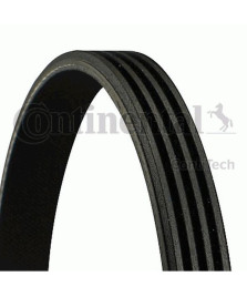 Cinghia Poly-V  DUCATO -  DAILY ELASTICA  DUCAT2.5