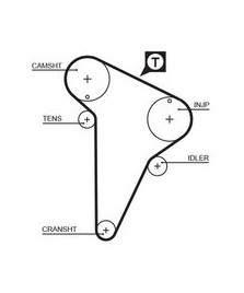 8597-15420 CINGHIE SINCRONE POWERGrip 14 JUMPER - BOXER