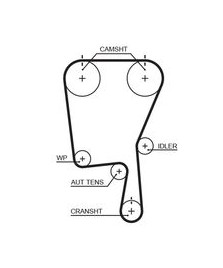 8597-15490 CINGHIE SINCRONE POWERGrip 14 IBIZA-CORDOBA-POLO