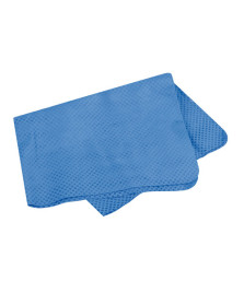 PANNO EASY-WIPE 43X32CM