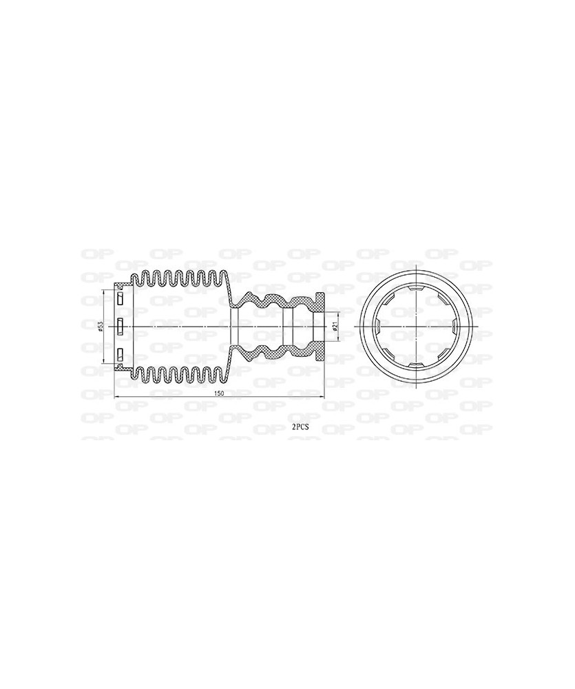 KIT PARAPOLVERE (2 TAMPONI)              ANTERIORE NE III GRAND SCENIC