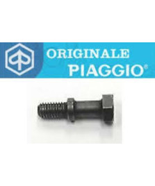 VITE FISSA CAMPANA FRIZIONE APE MP P501  P601