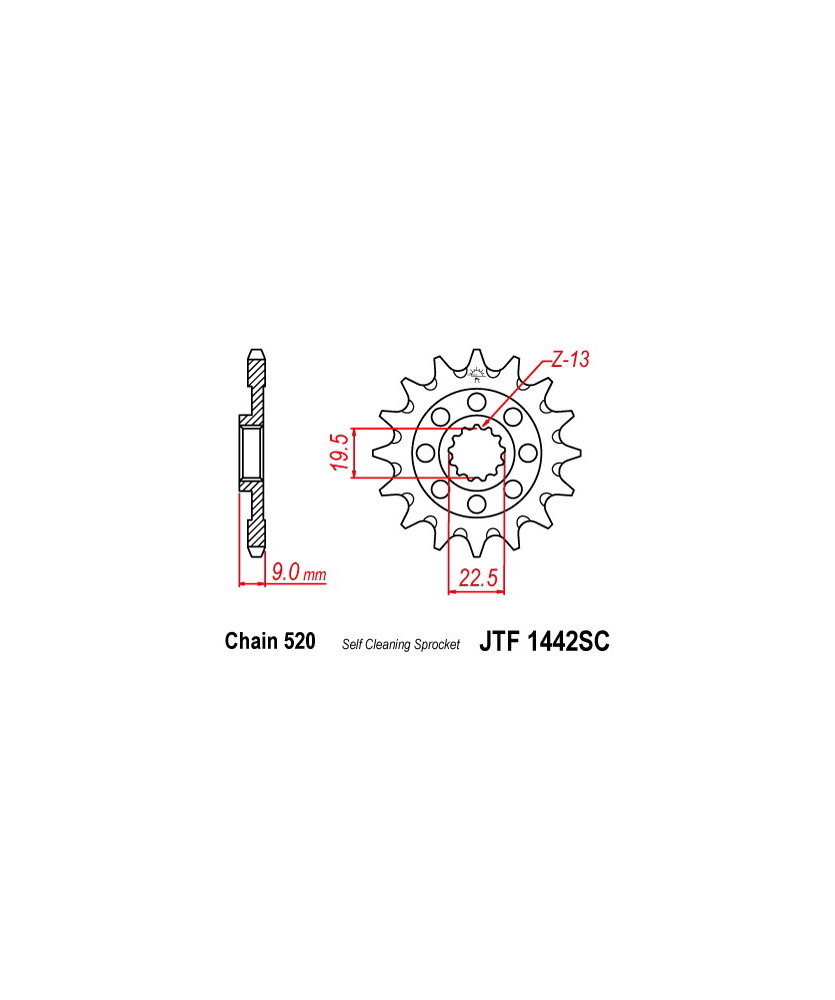 PIGNONE  (520) 13D