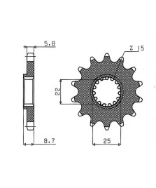 PIGNONE  (520) 14 D