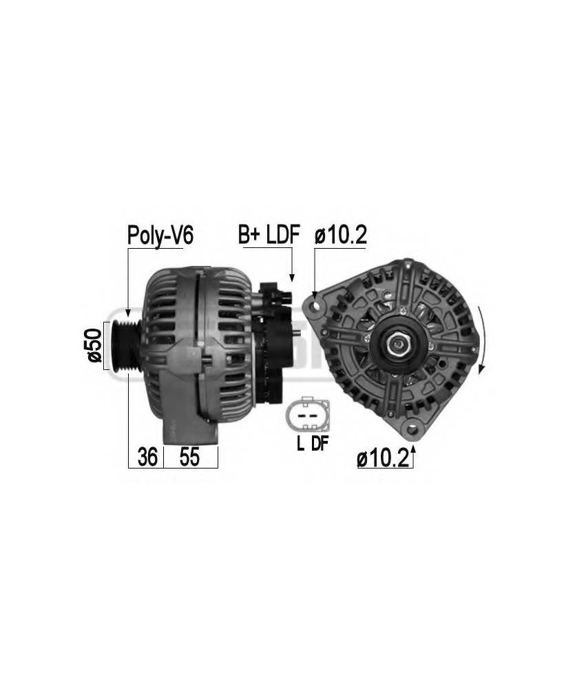 ALTERNATORE