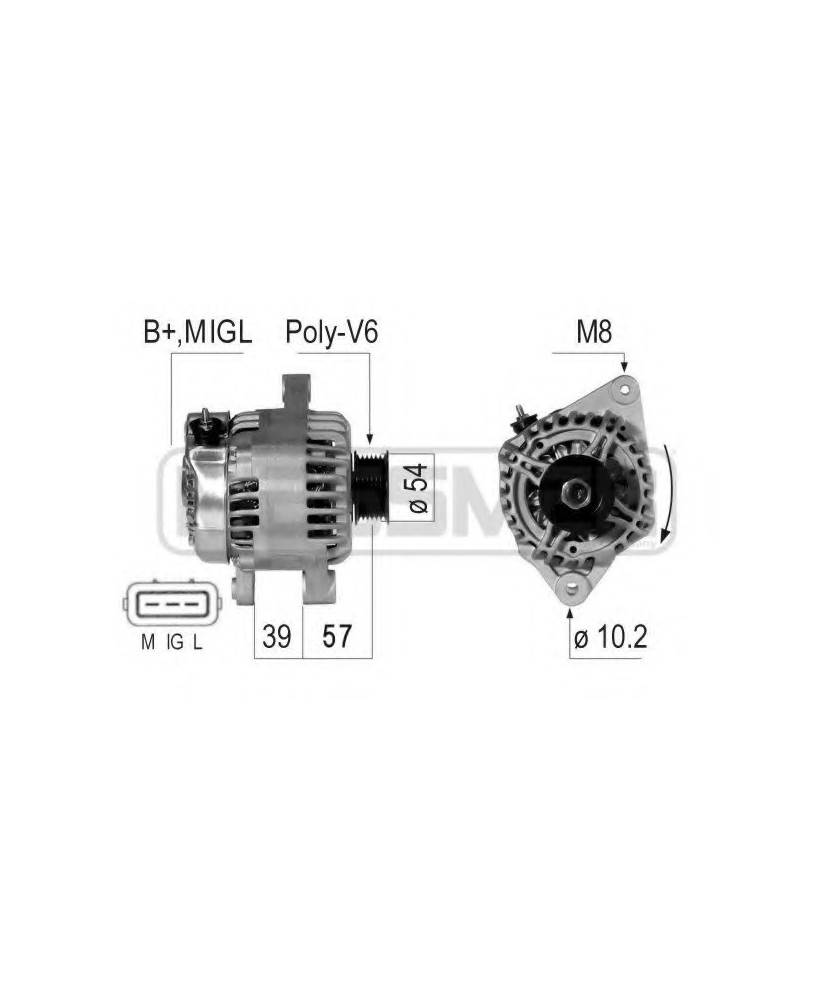 ALTERNATORE