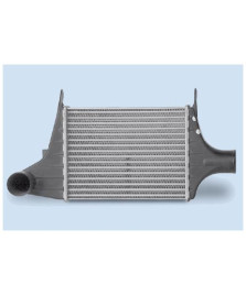 INTERCOOLER  DELTA TD