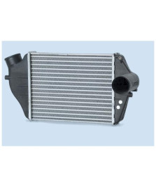 INTERCOOLER  REGATA TD