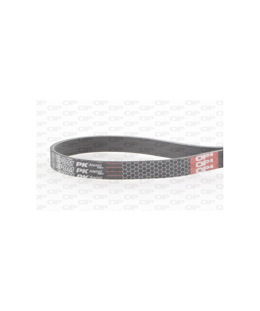 CINGHIA POLY-V 7PK1795 REN TRAFIC 2.5 DC