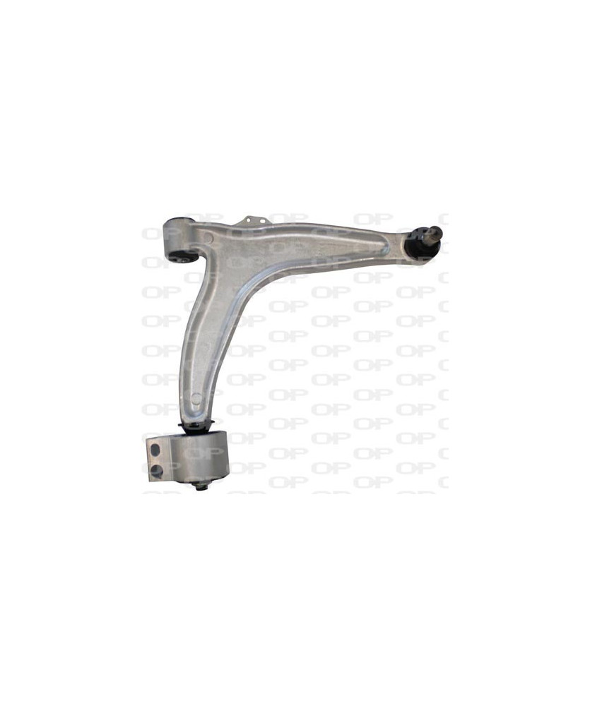 BRACCIO ANT.DX CROMA 05  - VECTRA C 02
