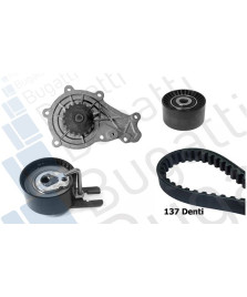 POMPA ACQUA + KIT CINGHIE DENTATE SCUDO BERLINGO C2/C3 FOCUS