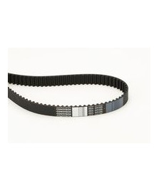 CINGHIA 144RP+254H --T.BELT 94923 144R   DISTRIBUZIONE    PSA