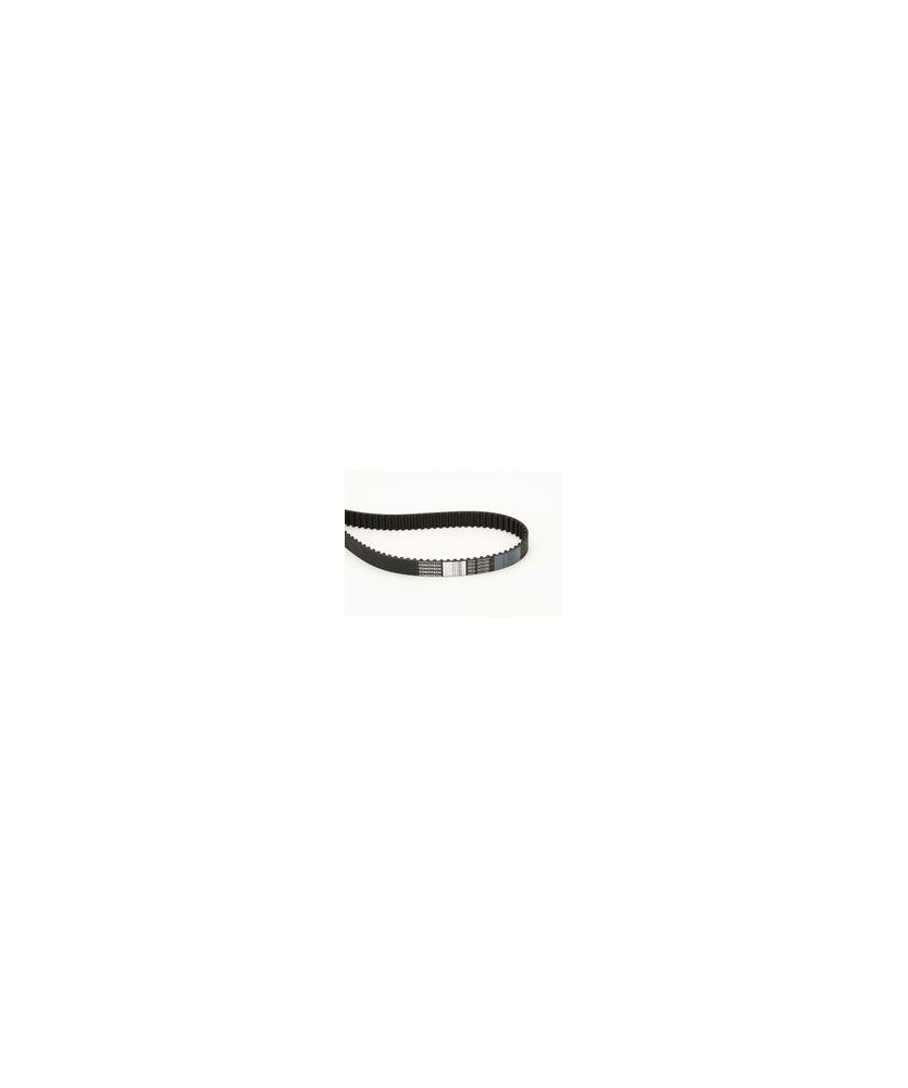 CINGHIA 144RP+254H --T.BELT 94923 144R   DISTRIBUZIONE    PSA