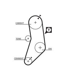 8595-15077 CINGHIE SINCRONE POWERGrip 12 SERIE 3 E30 - SERIE 5