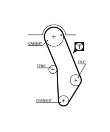 8597-15183 CINGHIE SINCRONE POWERGrip 14 A6-100-80-IBIZA-GOLF-PASSAT