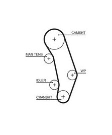 8597-15346 CINGHIE SINCRONE POWERGrip 12 100-TRASPORTER