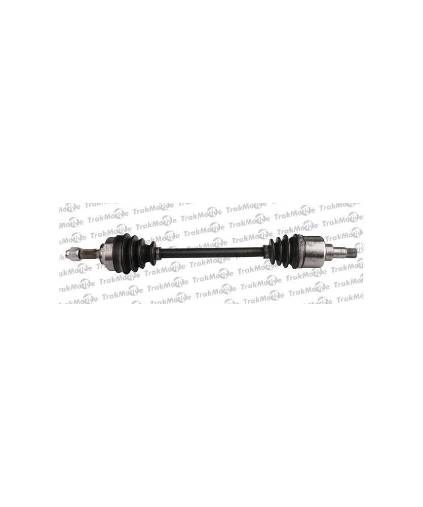 SEMIASSE SX  C3 II 1 4 HDI  02