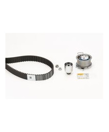 Kit distribuzione FABIA  OCTAVIA 1.9TDI  05-10