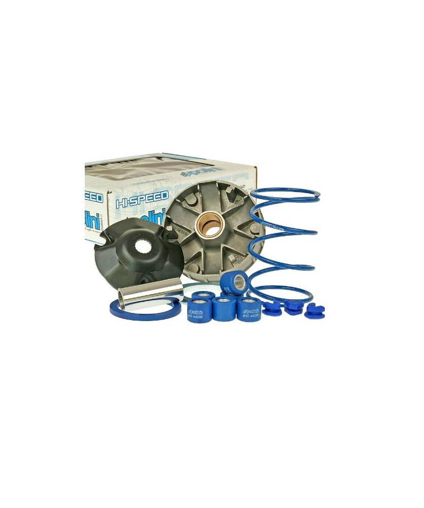 VARIATORE HI-SPEED  ZIP QUARTZ NR G FREE TYPHOO