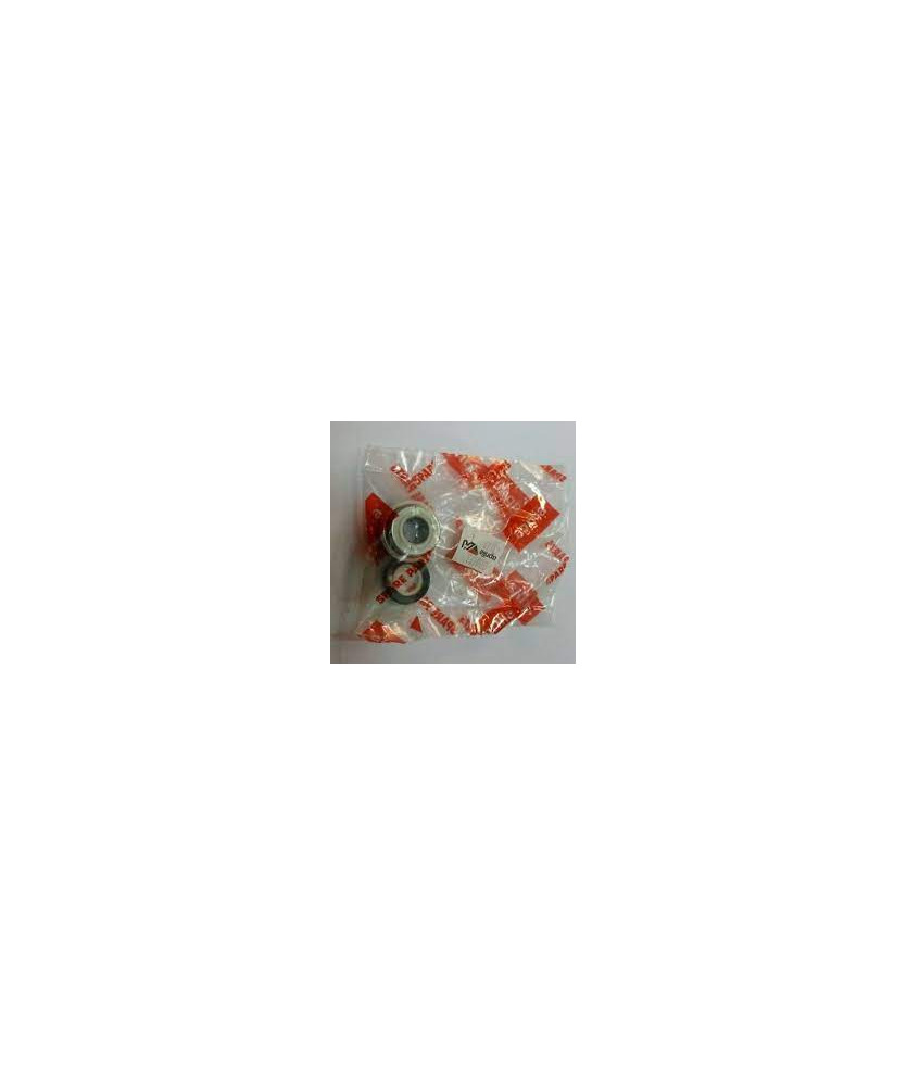 TENUTA MECCANICA POMPA SR 50 SCARABEO   125 LIGHT